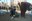 2023 01 29_Imatges del Departament de Drets Civils de l'Ajuntament de Lleida (55).JPG