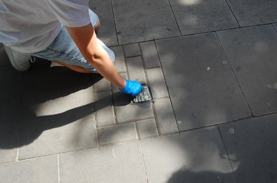 2023 06 17_RUTA PER A LA NETEJA DE LES LLAMBORDES STOLPERSTEINE DE LA CIUTAT DE LLEIDA