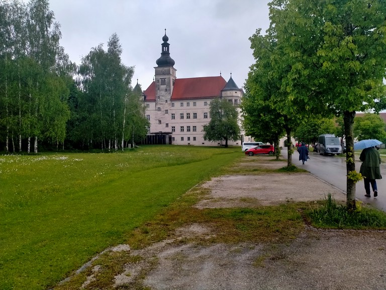 IMG20240503150024.jpg