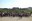 2024 05 04_Memorial de Gusen