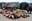 2024 05 05_Mauthausen