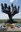 2024 05 05_Mauthausen