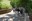 2024 05 05_Mauthausen