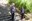 2024 05 05_Mauthausen