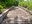 2024 05 05_Mauthausen