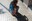 Llamborda_Casimir Vila