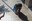 Llamborda_Casimir Vila