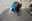 Llamborda_Josep Pach