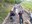 2025 05 11_Mauthausen