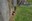 2025 05 11_Mauthausen