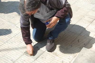JOSEP PACH ROSELLÓ