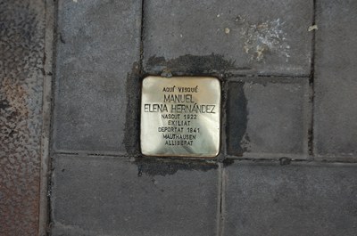 MANUEL ELENA HERNÁNDEZ