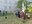 2026_05_08 Castell de Hartheim