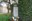 2022 10 23_OFRENA FLORAL A LA NOVA PLACA DELS LLEIDATANS ASSASSINATS ALS CAMPS NAZIS