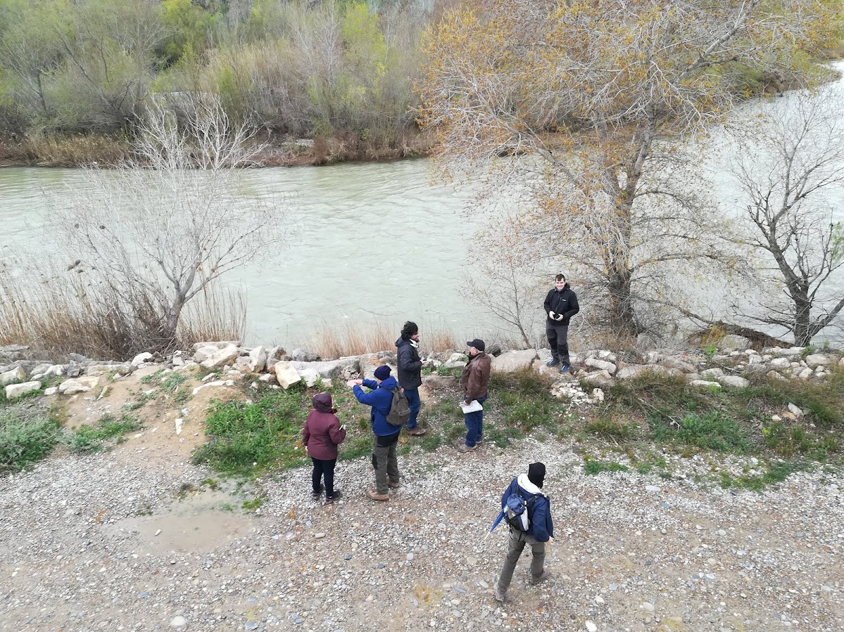 Antecedents de la batalla de Lleida