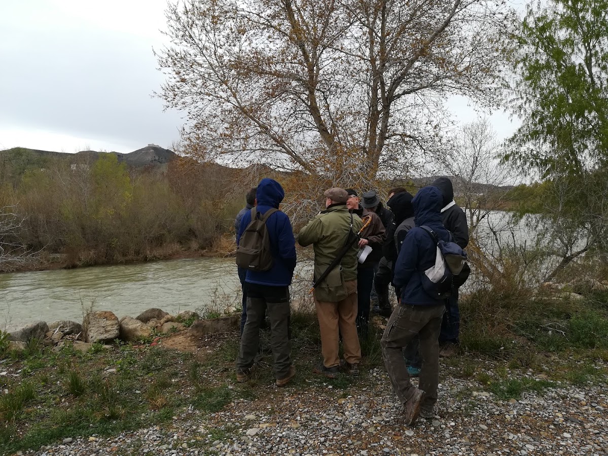 Antecedents de la batalla de Lleida