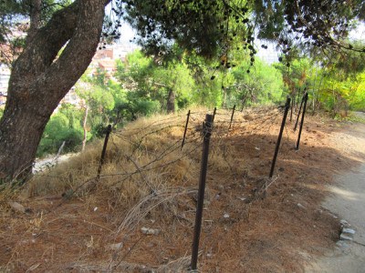 Castell de Gardeny( filades de filferro)